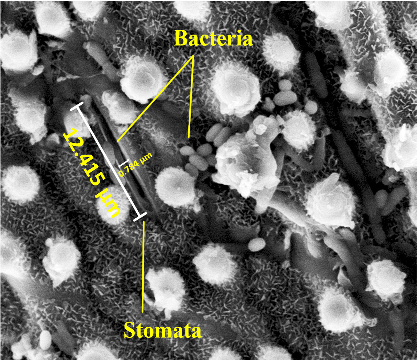 A scenic view of Iceland with mountains and a clear blue sky